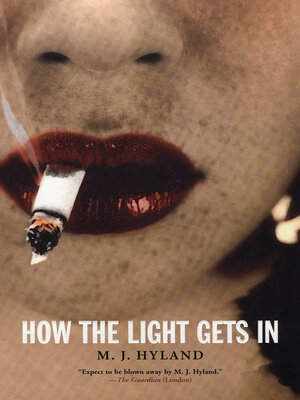 cover image of How the Light Gets In
